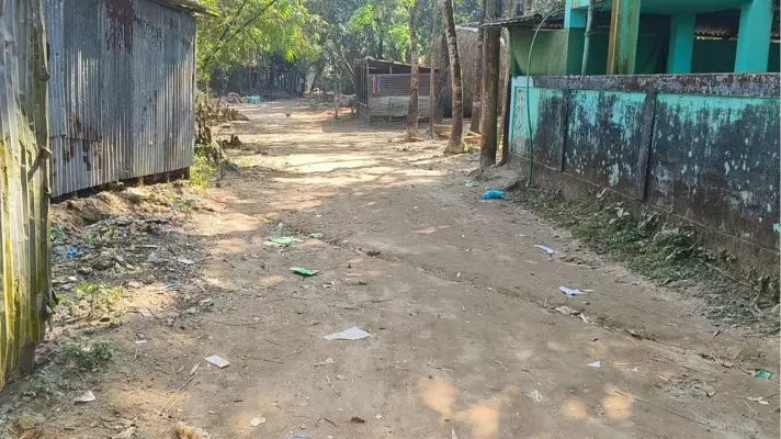প্রধান উপদেষ্টা পদত্যাগ করবেন না: ফাইজ তাইয়েব আহমেদ