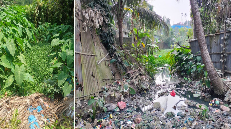 প্রধান উপদেষ্টা পদত্যাগ করবেন না: ফাইজ তাইয়েব আহমেদ