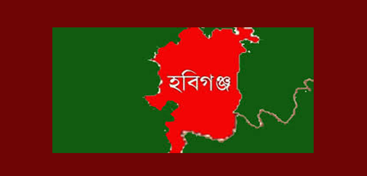 প্রধান উপদেষ্টা পদত্যাগ করবেন না: ফাইজ তাইয়েব আহমেদ