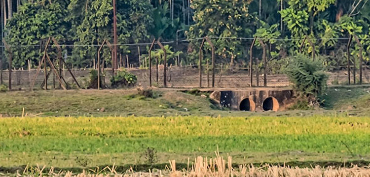 প্রধান উপদেষ্টা পদত্যাগ করবেন না: ফাইজ তাইয়েব আহমেদ