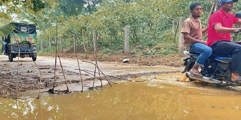 প্রধান উপদেষ্টা পদত্যাগ করবেন না: ফাইজ তাইয়েব আহমেদ