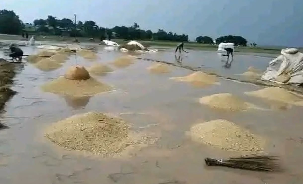 প্রধান উপদেষ্টা পদত্যাগ করবেন না: ফাইজ তাইয়েব আহমেদ