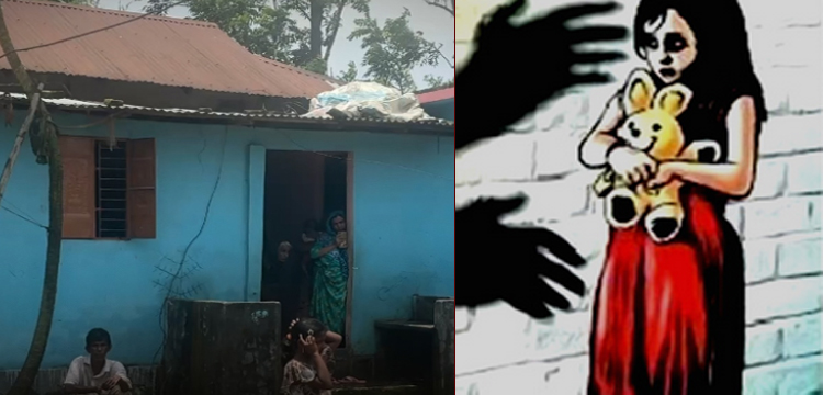 প্রধান উপদেষ্টা পদত্যাগ করবেন না: ফাইজ তাইয়েব আহমেদ