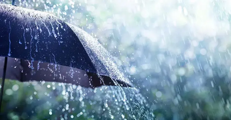 প্রধান উপদেষ্টা পদত্যাগ করবেন না: ফাইজ তাইয়েব আহমেদ