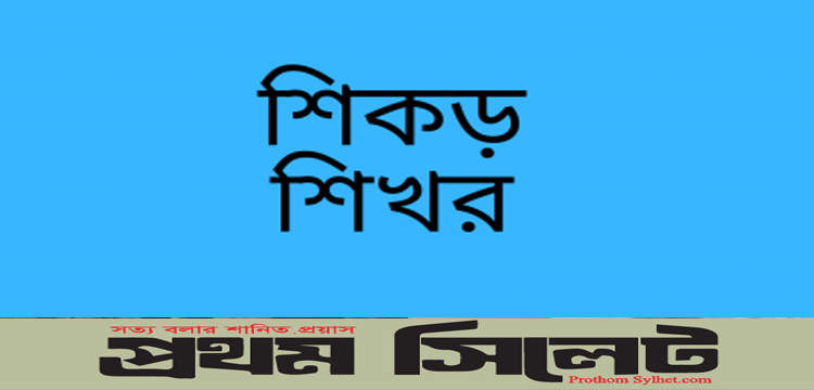 প্রধান উপদেষ্টা পদত্যাগ করবেন না: ফাইজ তাইয়েব আহমেদ