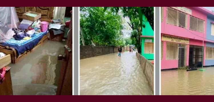 প্রধান উপদেষ্টা পদত্যাগ করবেন না: ফাইজ তাইয়েব আহমেদ