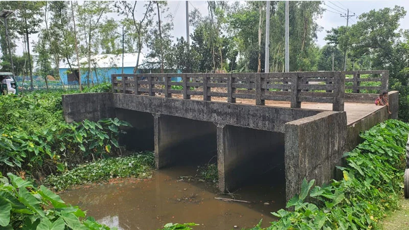 প্রধান উপদেষ্টা পদত্যাগ করবেন না: ফাইজ তাইয়েব আহমেদ