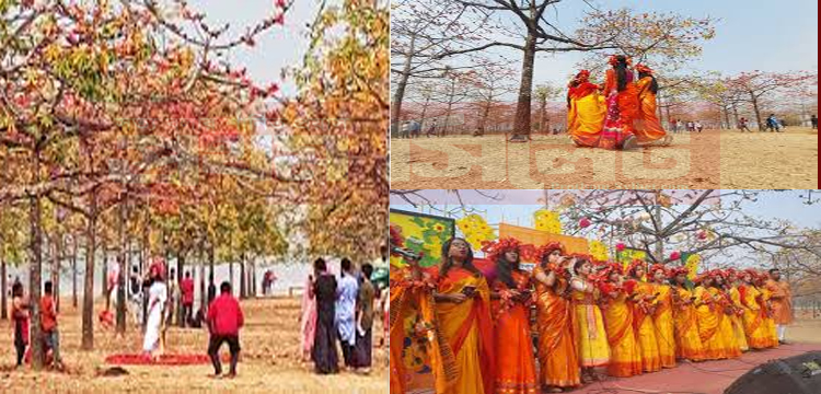 প্রধান উপদেষ্টা পদত্যাগ করবেন না: ফাইজ তাইয়েব আহমেদ