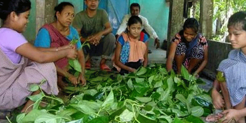 প্রধান উপদেষ্টা পদত্যাগ করবেন না: ফাইজ তাইয়েব আহমেদ