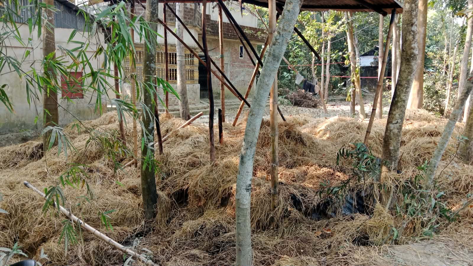 প্রধান উপদেষ্টা পদত্যাগ করবেন না: ফাইজ তাইয়েব আহমেদ