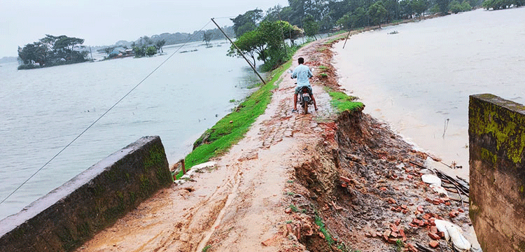 প্রধান উপদেষ্টা পদত্যাগ করবেন না: ফাইজ তাইয়েব আহমেদ
