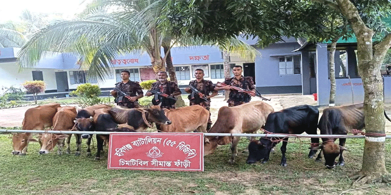 প্রধান উপদেষ্টা পদত্যাগ করবেন না: ফাইজ তাইয়েব আহমেদ