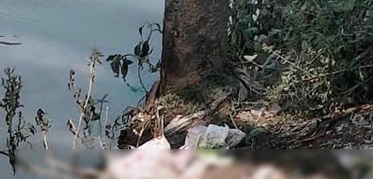 প্রধান উপদেষ্টা পদত্যাগ করবেন না: ফাইজ তাইয়েব আহমেদ