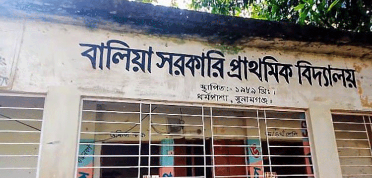 প্রধান উপদেষ্টা পদত্যাগ করবেন না: ফাইজ তাইয়েব আহমেদ