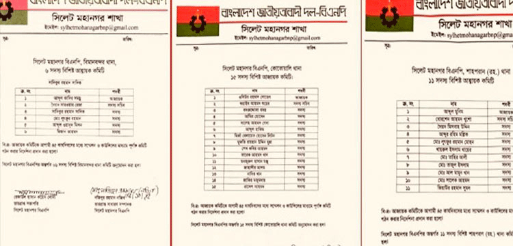 প্রধান উপদেষ্টা পদত্যাগ করবেন না: ফাইজ তাইয়েব আহমেদ