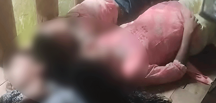 প্রধান উপদেষ্টা পদত্যাগ করবেন না: ফাইজ তাইয়েব আহমেদ