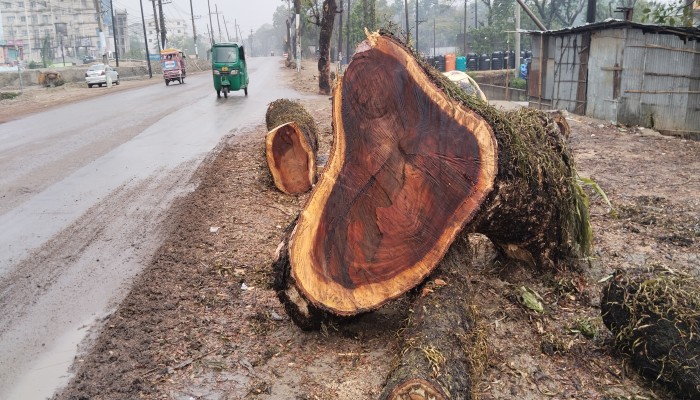 প্রধান উপদেষ্টা পদত্যাগ করবেন না: ফাইজ তাইয়েব আহমেদ