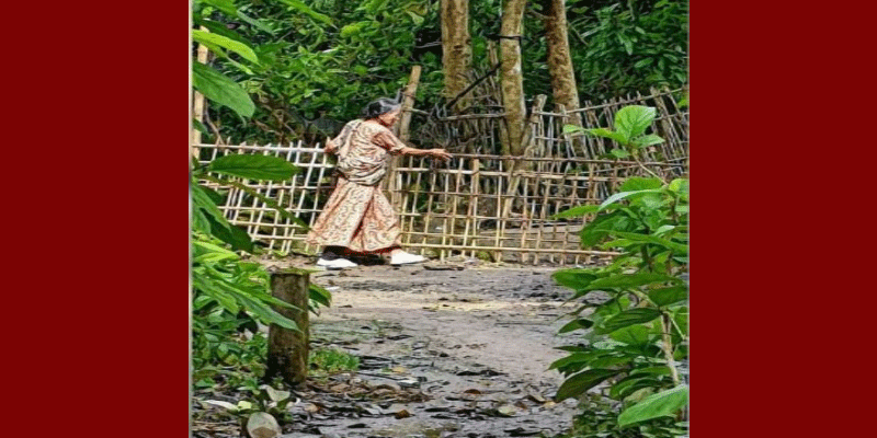প্রধান উপদেষ্টা পদত্যাগ করবেন না: ফাইজ তাইয়েব আহমেদ