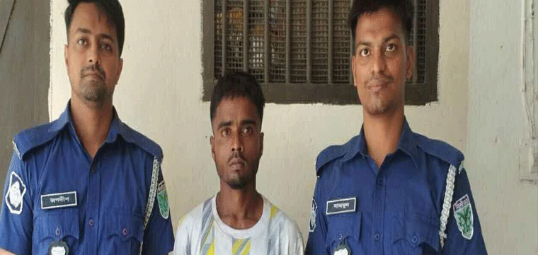 প্রধান উপদেষ্টা পদত্যাগ করবেন না: ফাইজ তাইয়েব আহমেদ