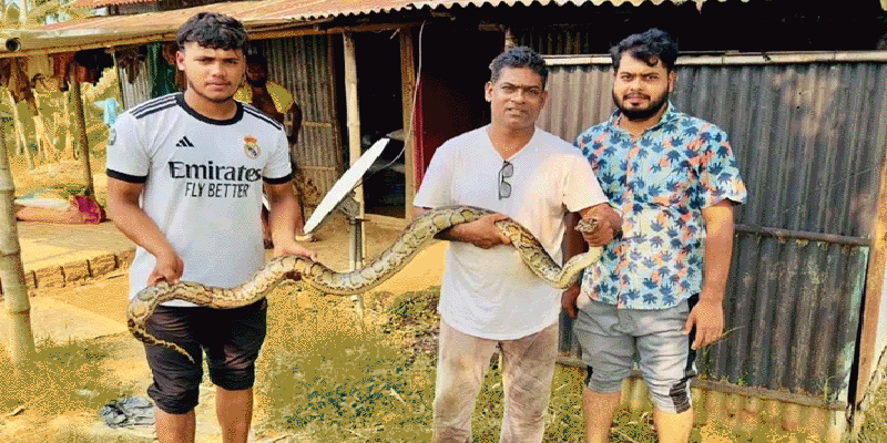 প্রধান উপদেষ্টা পদত্যাগ করবেন না: ফাইজ তাইয়েব আহমেদ