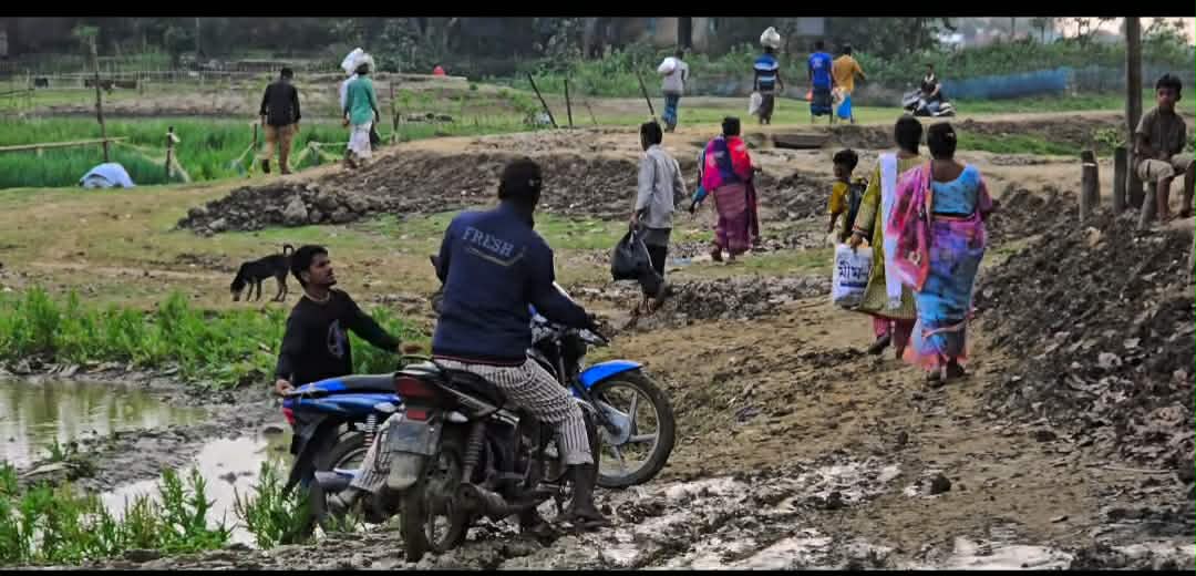 প্রধান উপদেষ্টা পদত্যাগ করবেন না: ফাইজ তাইয়েব আহমেদ
