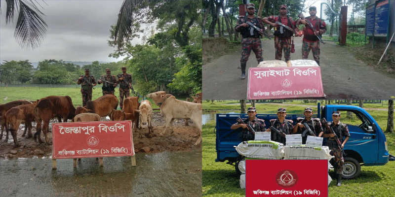 প্রধান উপদেষ্টা পদত্যাগ করবেন না: ফাইজ তাইয়েব আহমেদ