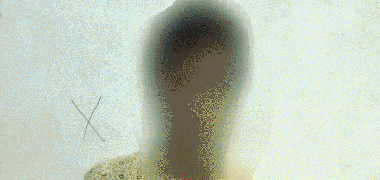 প্রধান উপদেষ্টা পদত্যাগ করবেন না: ফাইজ তাইয়েব আহমেদ