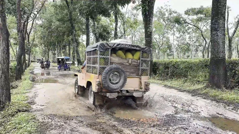 প্রধান উপদেষ্টা পদত্যাগ করবেন না: ফাইজ তাইয়েব আহমেদ