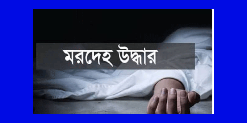 প্রধান উপদেষ্টা পদত্যাগ করবেন না: ফাইজ তাইয়েব আহমেদ