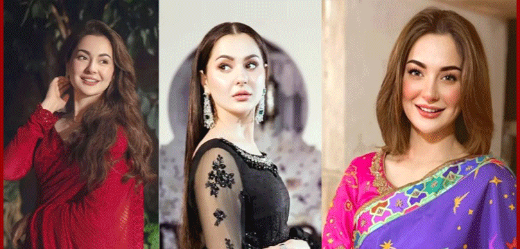 প্রধান উপদেষ্টা পদত্যাগ করবেন না: ফাইজ তাইয়েব আহমেদ