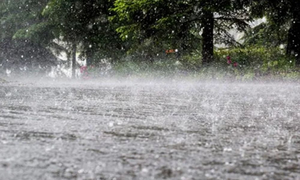 প্রধান উপদেষ্টা পদত্যাগ করবেন না: ফাইজ তাইয়েব আহমেদ