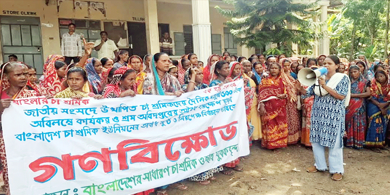 প্রধান উপদেষ্টা পদত্যাগ করবেন না: ফাইজ তাইয়েব আহমেদ