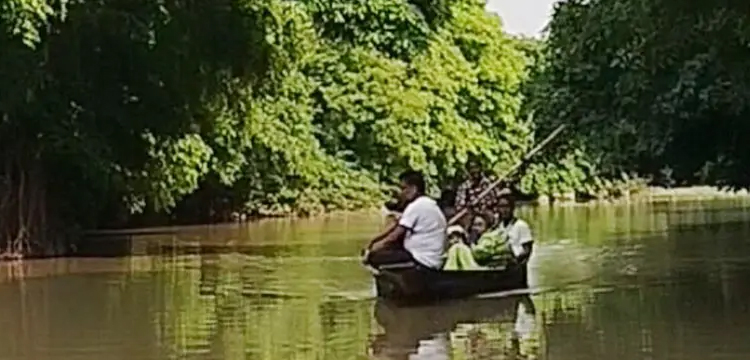 প্রধান উপদেষ্টা পদত্যাগ করবেন না: ফাইজ তাইয়েব আহমেদ