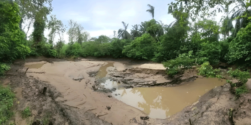 প্রধান উপদেষ্টা পদত্যাগ করবেন না: ফাইজ তাইয়েব আহমেদ