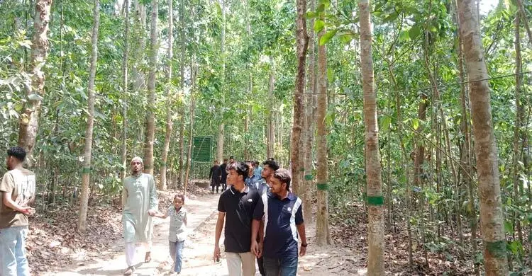 প্রধান উপদেষ্টা পদত্যাগ করবেন না: ফাইজ তাইয়েব আহমেদ
