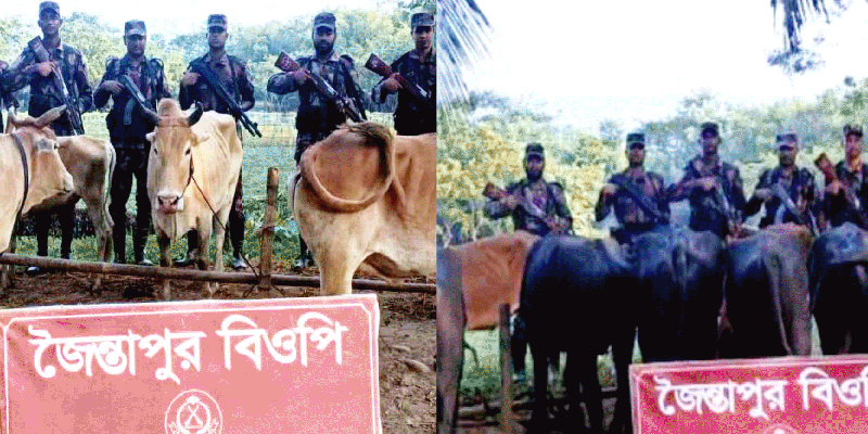 প্রধান উপদেষ্টা পদত্যাগ করবেন না: ফাইজ তাইয়েব আহমেদ