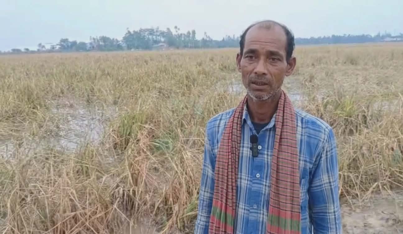 প্রধান উপদেষ্টা পদত্যাগ করবেন না: ফাইজ তাইয়েব আহমেদ
