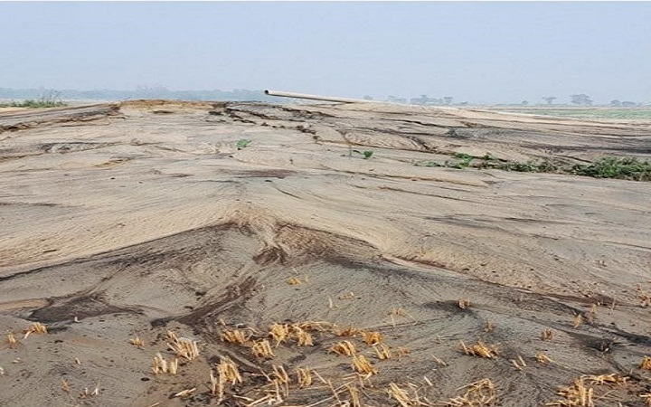 প্রধান উপদেষ্টা পদত্যাগ করবেন না: ফাইজ তাইয়েব আহমেদ