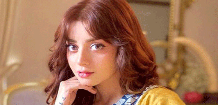 প্রধান উপদেষ্টা পদত্যাগ করবেন না: ফাইজ তাইয়েব আহমেদ