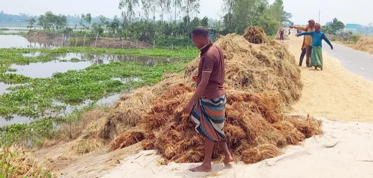 প্রধান উপদেষ্টা পদত্যাগ করবেন না: ফাইজ তাইয়েব আহমেদ
