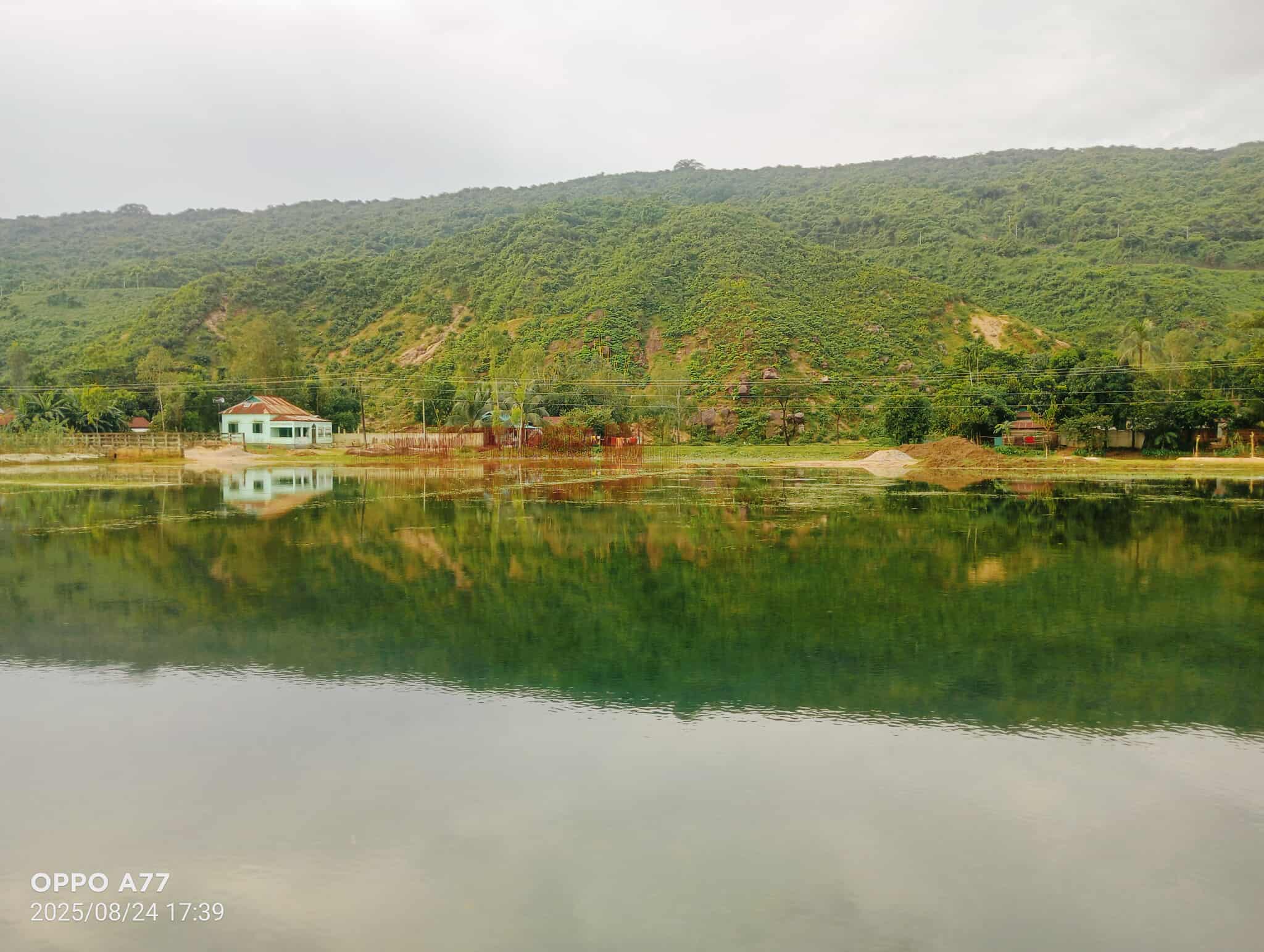 প্রধান উপদেষ্টা পদত্যাগ করবেন না: ফাইজ তাইয়েব আহমেদ