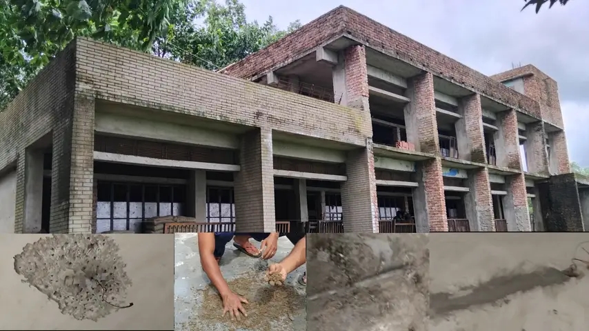 প্রধান উপদেষ্টা পদত্যাগ করবেন না: ফাইজ তাইয়েব আহমেদ