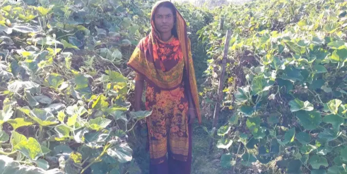 প্রধান উপদেষ্টা পদত্যাগ করবেন না: ফাইজ তাইয়েব আহমেদ