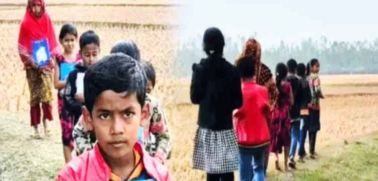 প্রধান উপদেষ্টা পদত্যাগ করবেন না: ফাইজ তাইয়েব আহমেদ