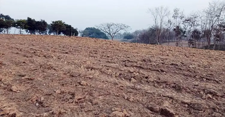 প্রধান উপদেষ্টা পদত্যাগ করবেন না: ফাইজ তাইয়েব আহমেদ