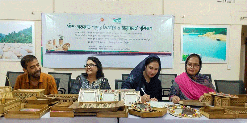 প্রধান উপদেষ্টা পদত্যাগ করবেন না: ফাইজ তাইয়েব আহমেদ