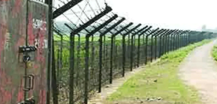 প্রধান উপদেষ্টা পদত্যাগ করবেন না: ফাইজ তাইয়েব আহমেদ
