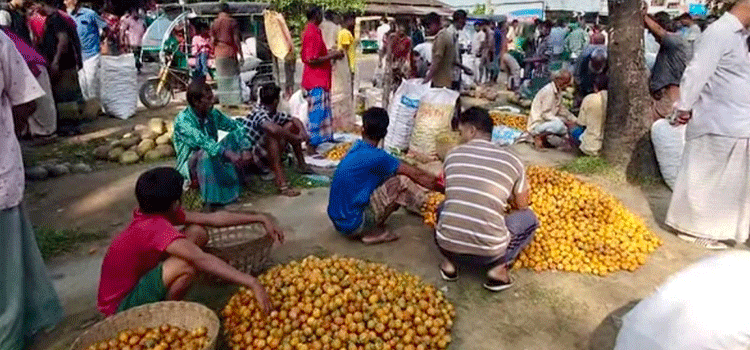 প্রধান উপদেষ্টা পদত্যাগ করবেন না: ফাইজ তাইয়েব আহমেদ