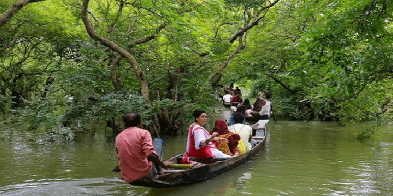 প্রধান উপদেষ্টা পদত্যাগ করবেন না: ফাইজ তাইয়েব আহমেদ