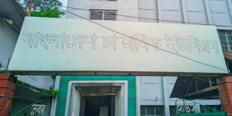 প্রধান উপদেষ্টা পদত্যাগ করবেন না: ফাইজ তাইয়েব আহমেদ